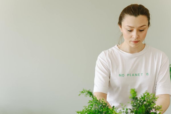 Rénovation d'ampleur : découvrez les solutions énergétiques vertes