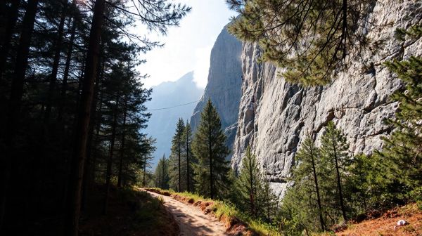 Top 5 itinéraires de via ferrata en ardèche à découvrir