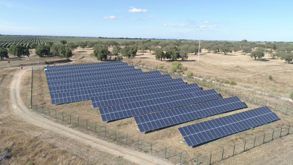 Top panneaux solaires photovoltaïques : comparatif essentiel
